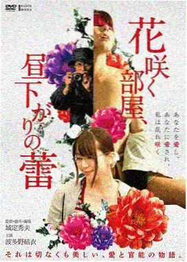 青柠悬案